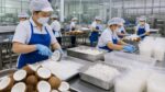 Top các 7Mb66 Xóc Đĩa Bến Tre phổ biến: dừa thuỷ sản và mức lương